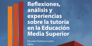 Reflexiones, análisis y experiencias sobre la tutoría